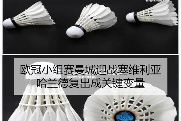 ou-guan-xiao-zu-sai-man-cheng-ying-zhan-sai-wei-li-ya-ha-lan-de-fu-chu-cheng-guan-jian-bian-liang-3-564.jpg