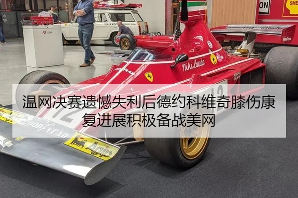 温网决赛遗憾失利后德约科维奇膝伤康复进展积极备战美网